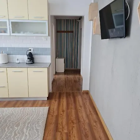 Dddd Apartament Cavnic Exterior photo